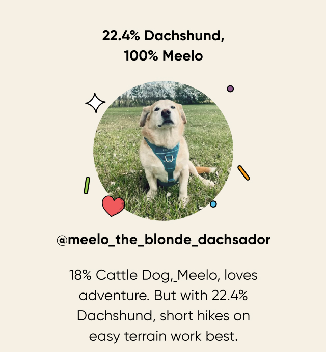 Meet Meelo, the ultimate grass-roller