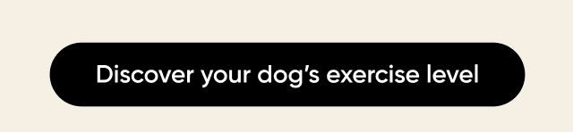 Discover your dog's activity level