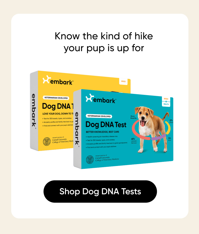 Know the kind of hike your pup is up for