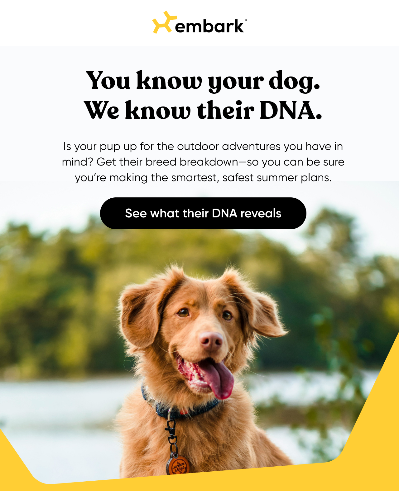 See what their DNA reveals