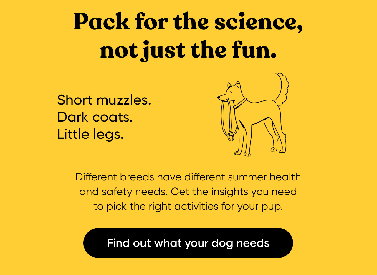 Learn what your dog is made of