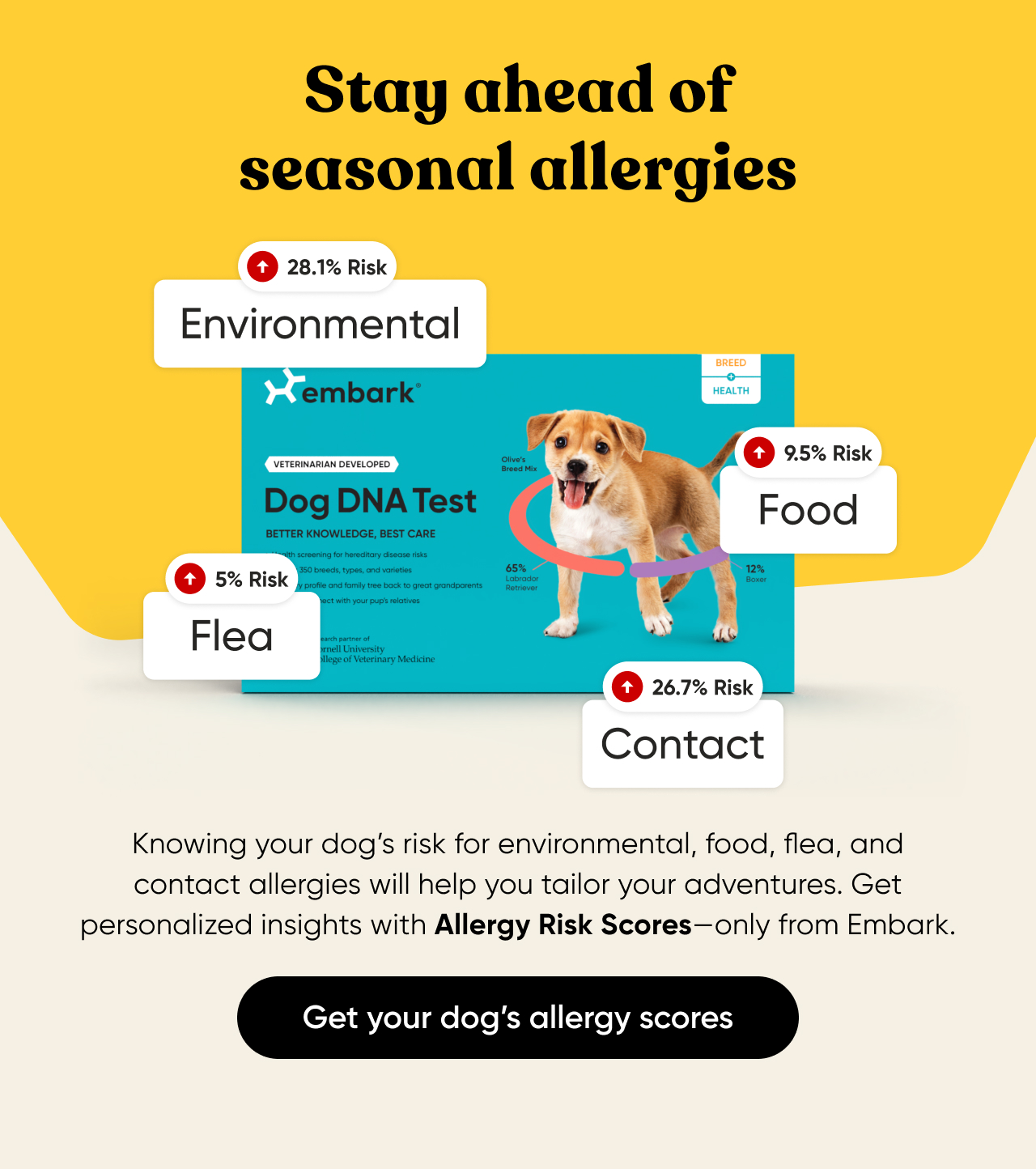 Get your dog's allergy score