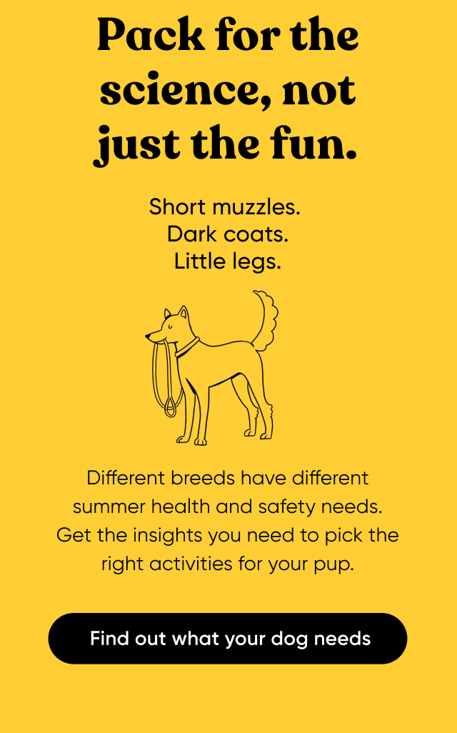 Find out what your dog needs