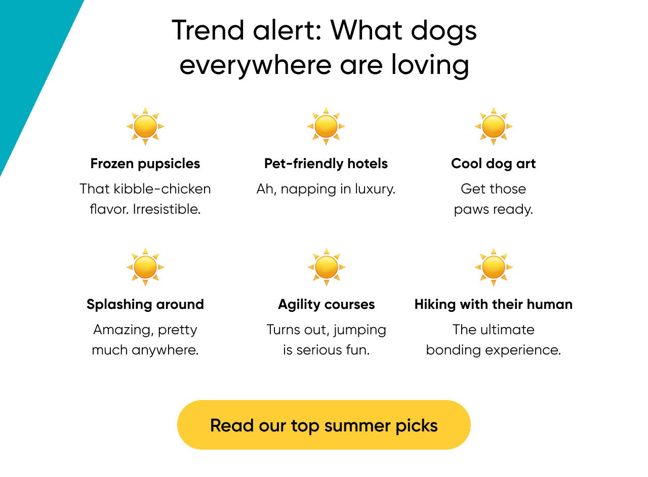 Read our top summer picks