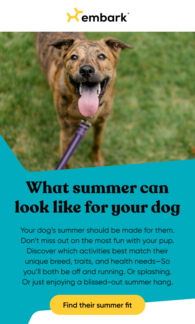 Find their summer fit