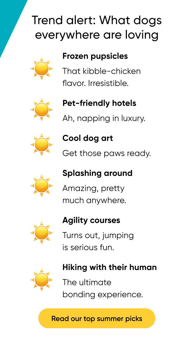 Read our top summer picks