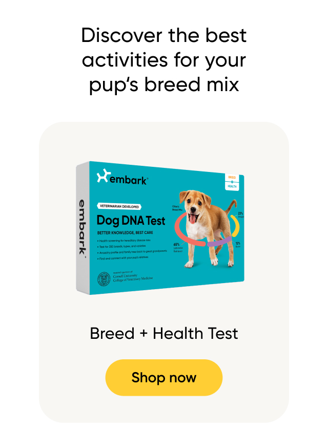 Shop Breed + Health Test