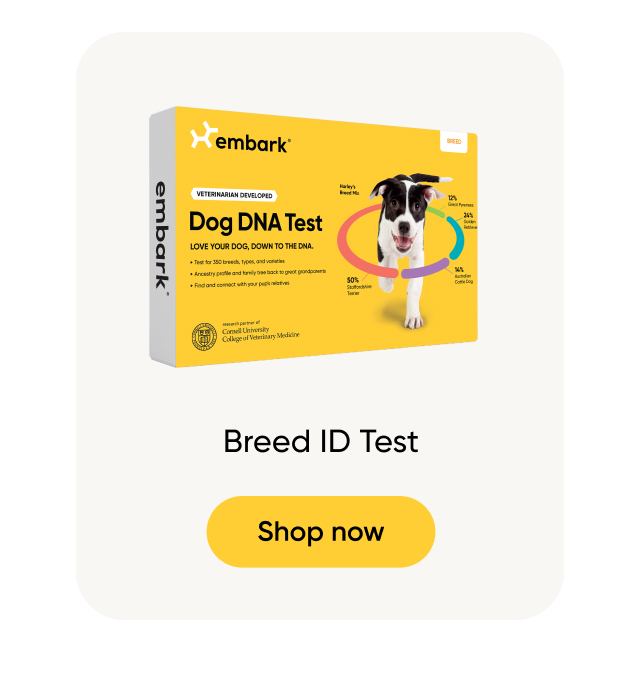 Shop Breed ID Test