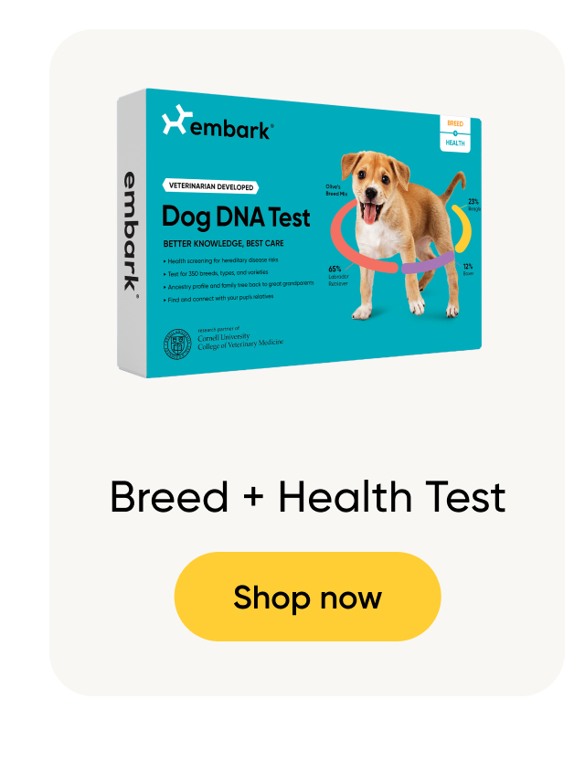 Shop Breed + Health Test
