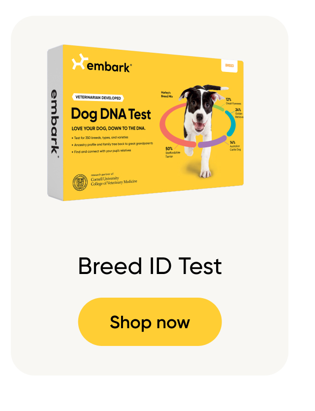 Shop Breed ID Test