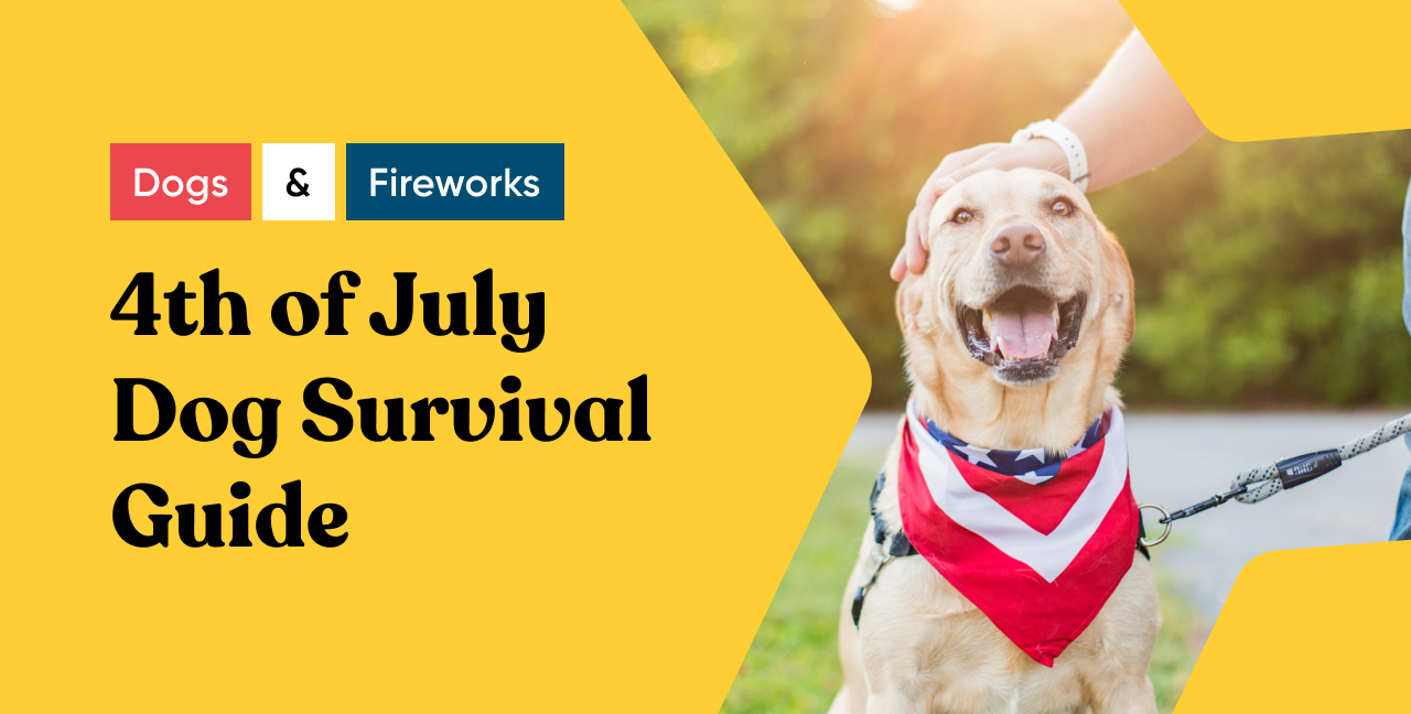 4th of July Dog Survival Guide