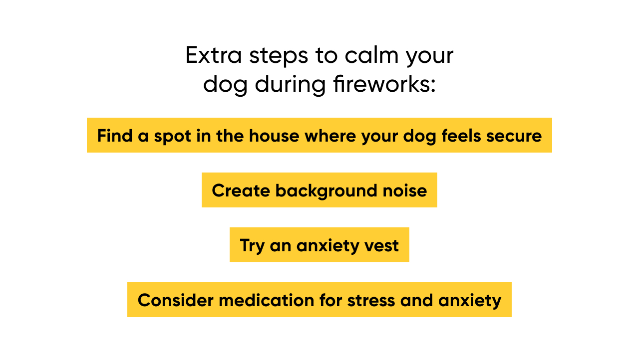 Extra steps to calm your dog during fireworks