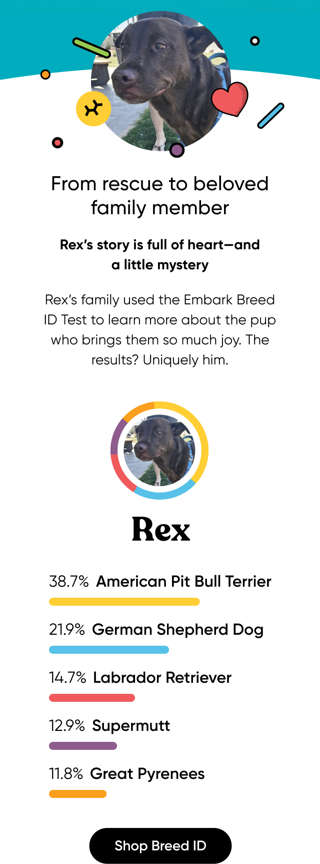 Get your pup's breed mix