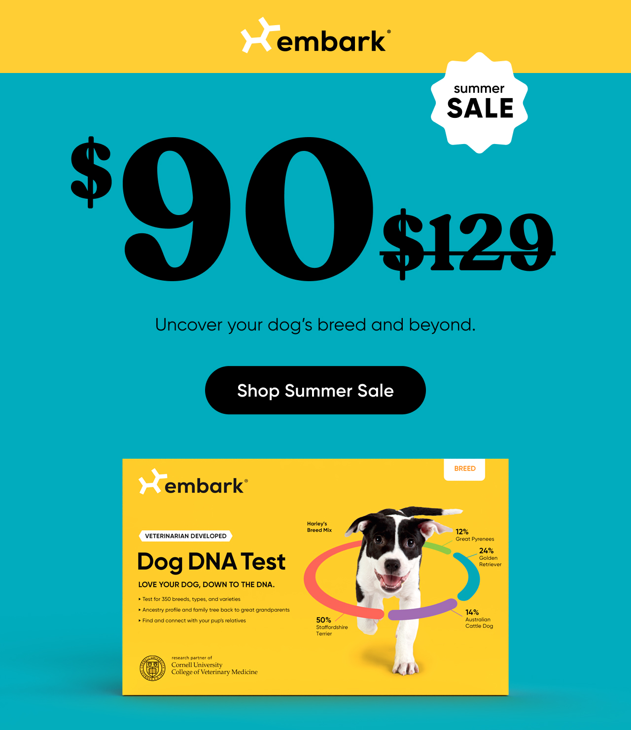 Uncover your dog's breed and beyond with a Breed ID Test