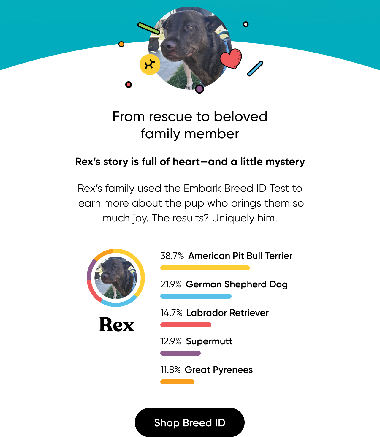 Get your pup's breed mix