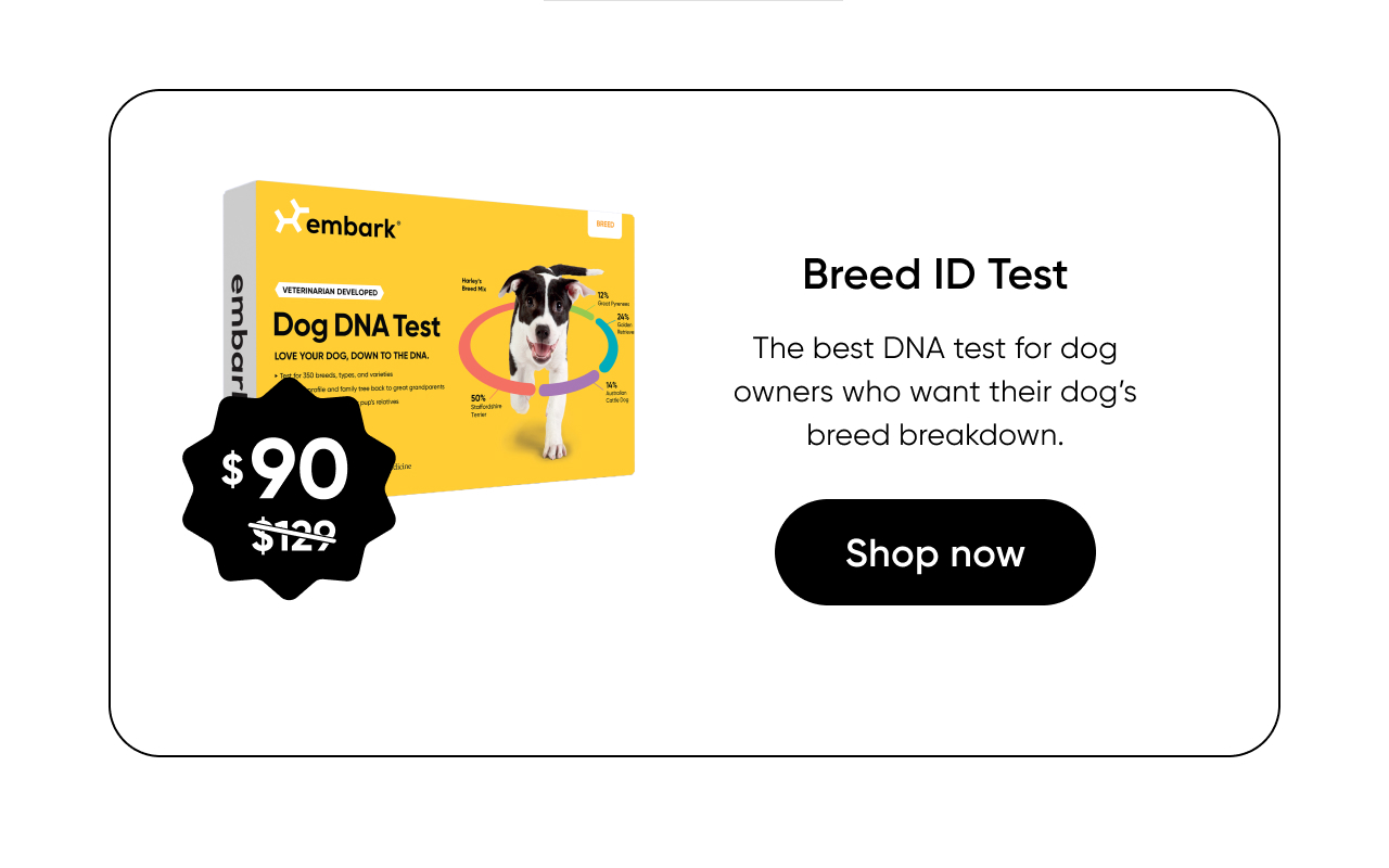 Shop Breed ID Test