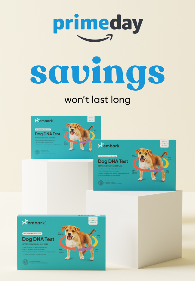 Shop our Prime Day deal on our Breed + Health Test