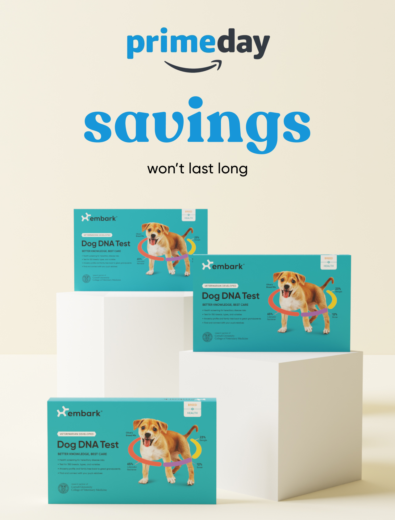 Shop our Prime Day deal on our Breed + Health Test