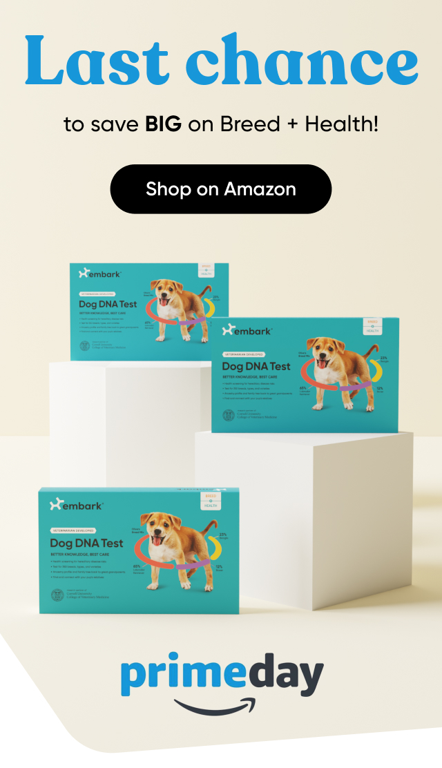 Shop our Prime Day deal on our Breed + Health Test
