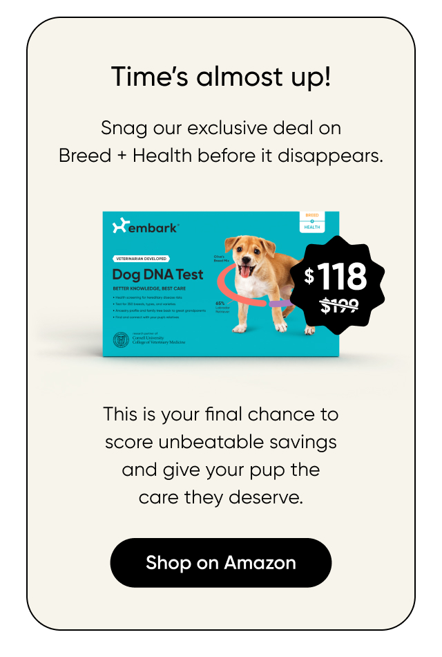 Shop our Prime Day deal on our Breed + Health Test