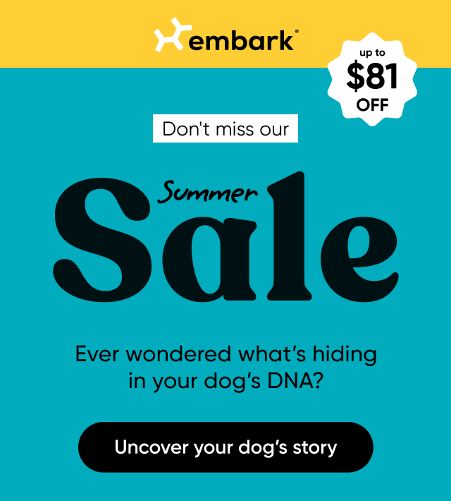 Uncover your dog's story