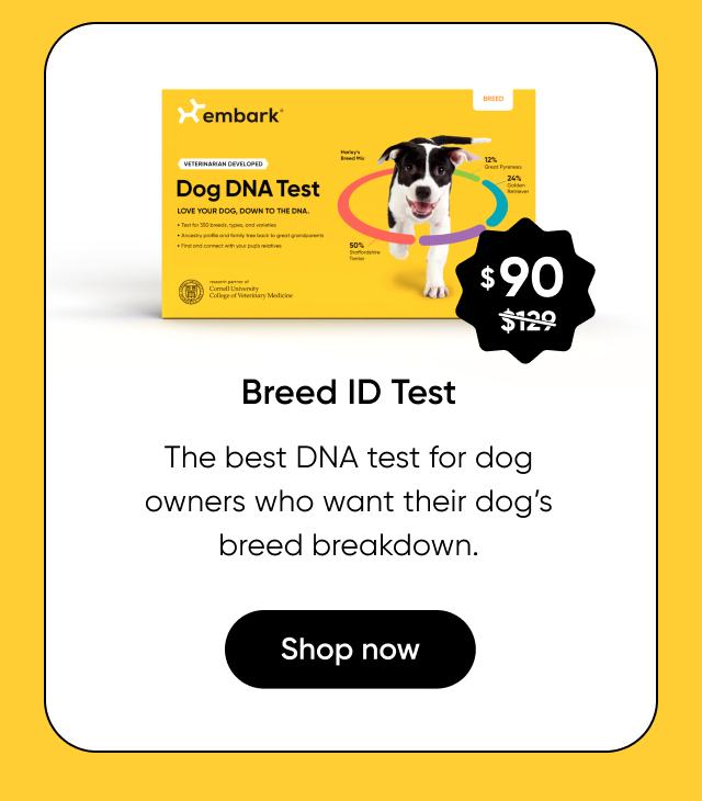 Shop Breed ID Test