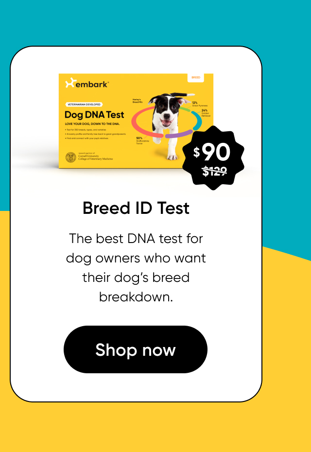 Shop Breed ID Test