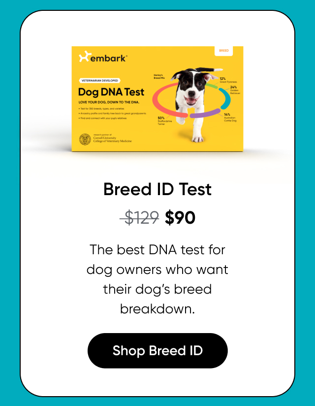 Shop Breed ID Test