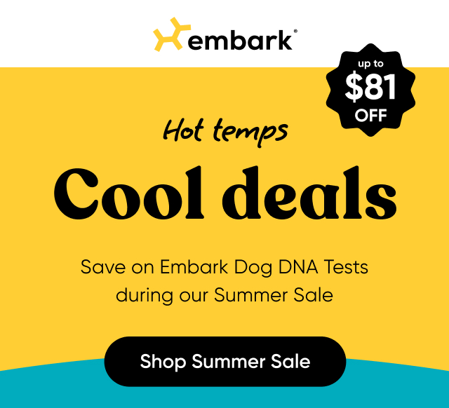 Save on Embark Dog DNA Tests during our Summer Sale