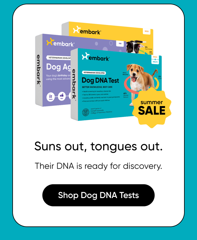 Shop Dog DNA Tests