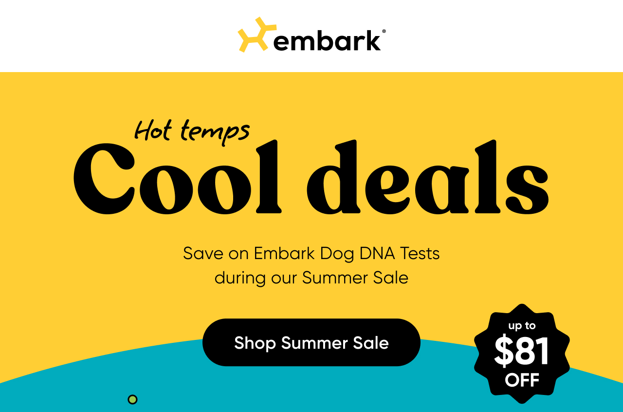 Save on Embark Dog DNA Tests during our Summer Sale