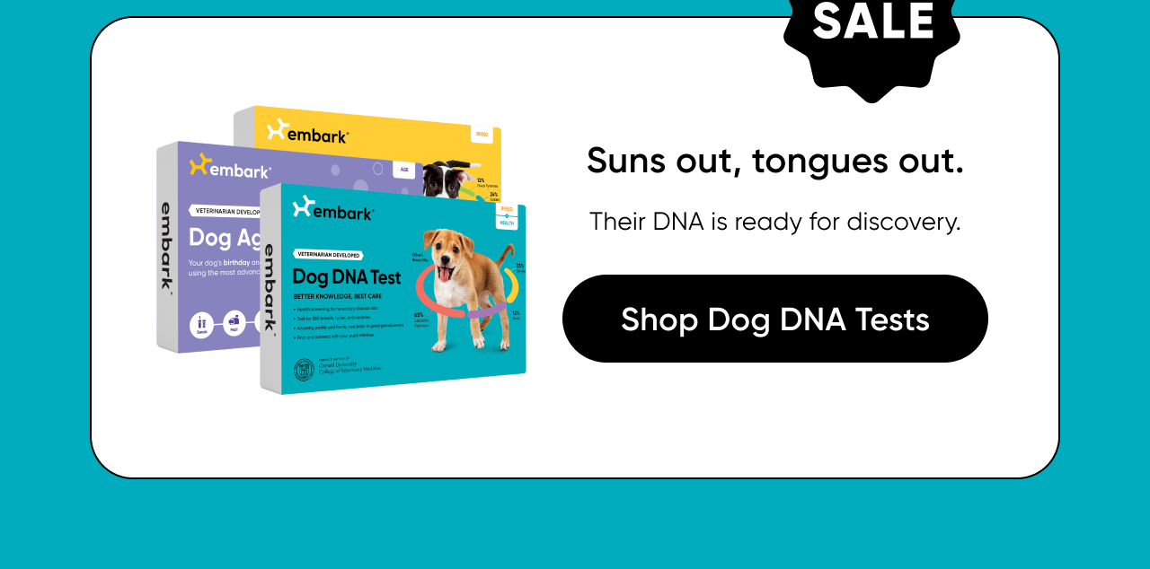 Shop Dog DNA Tests