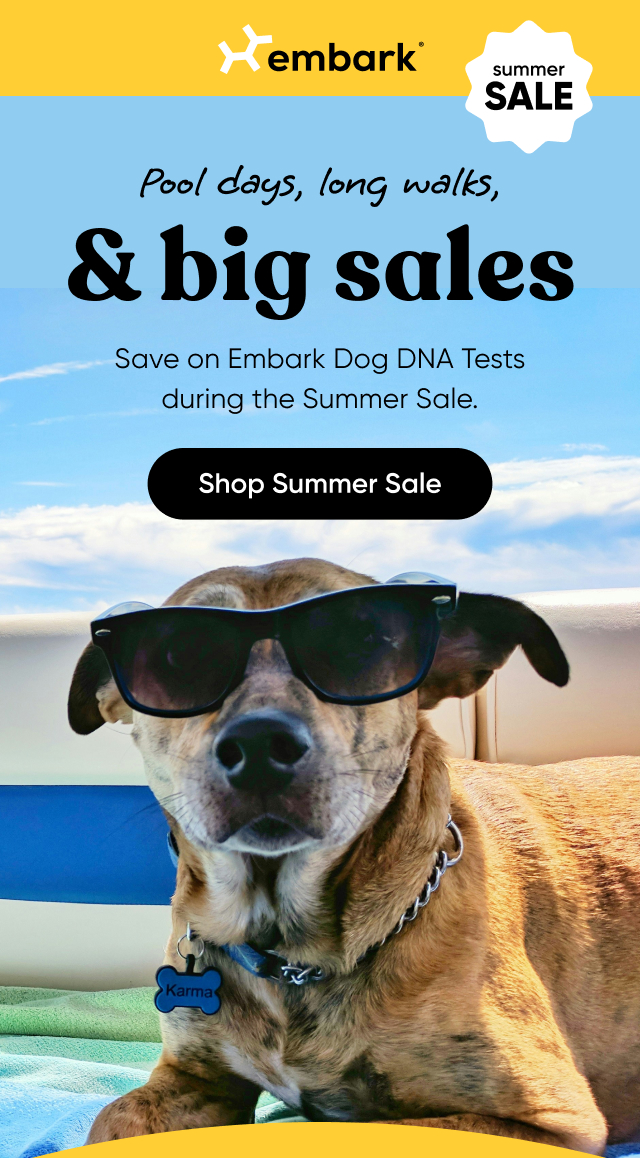 Shop Summer Sale