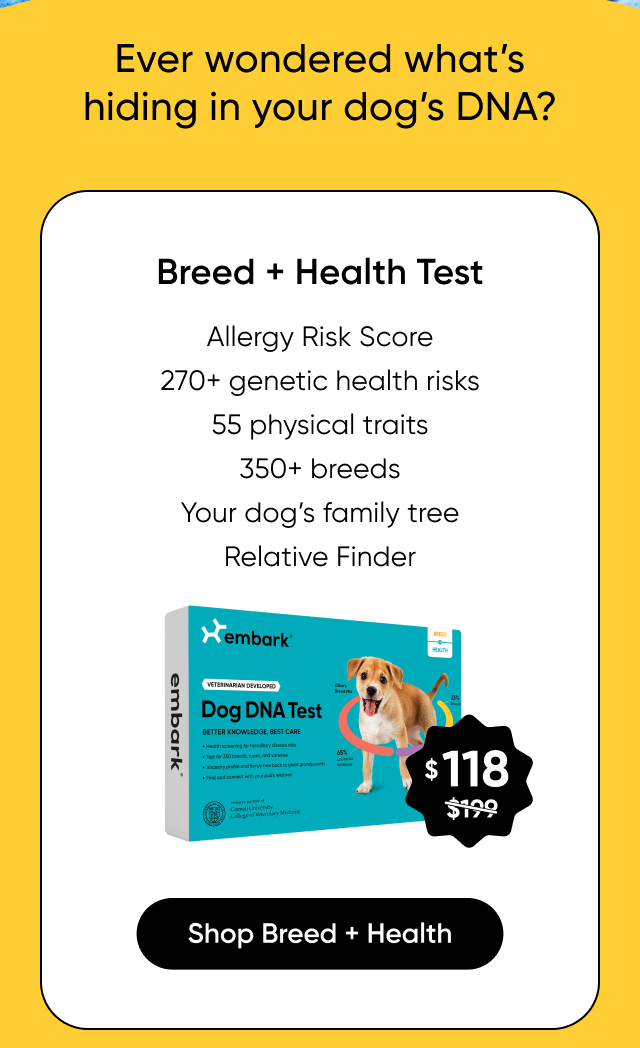 Shop Breed + Health Test