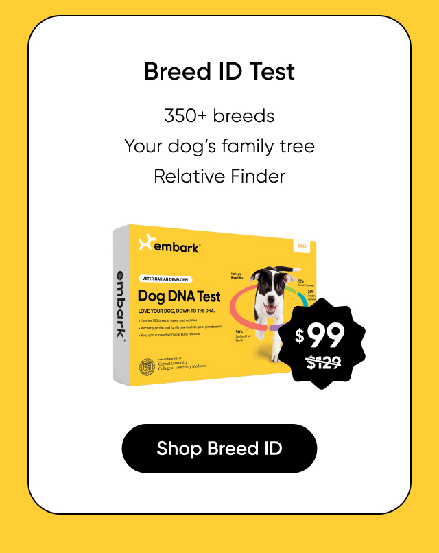 Shop Breed ID Test