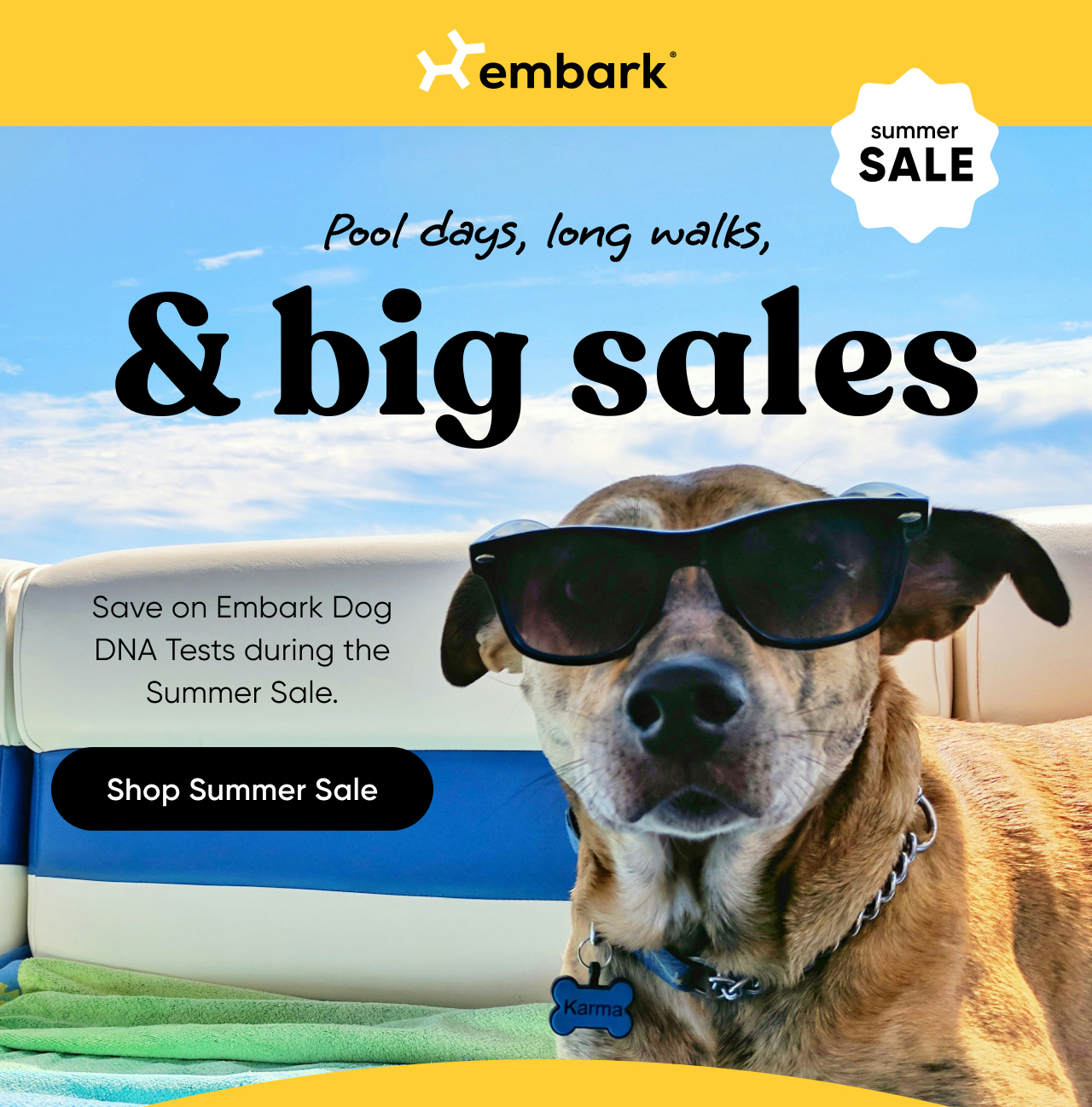Shop Summer Sale