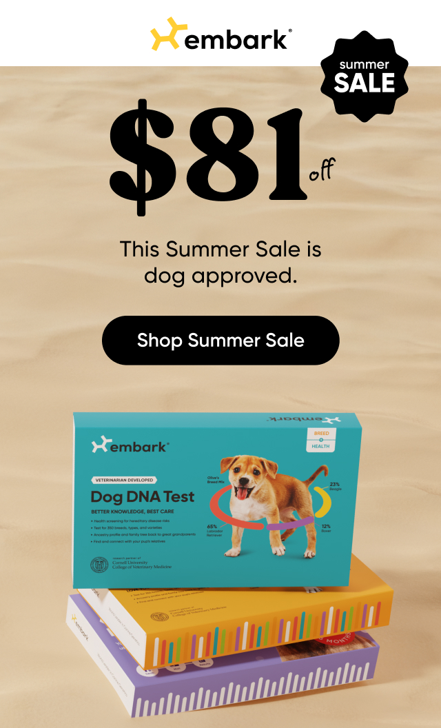 Shop Summer Sale