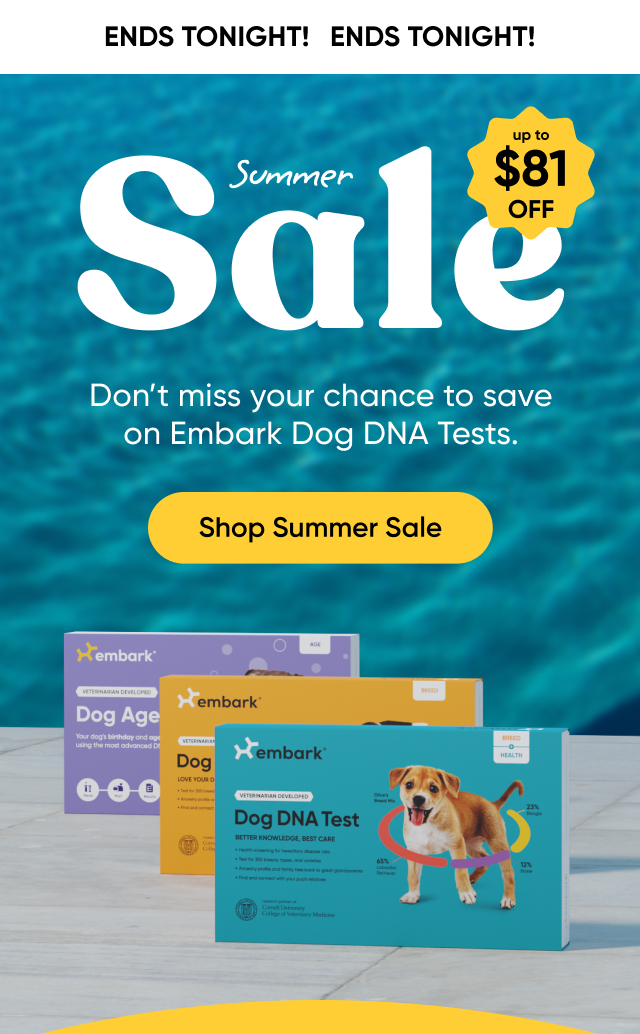 Shop Summer Sale