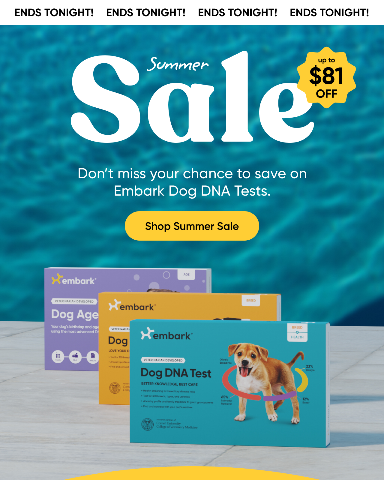 Shop Summer Sale