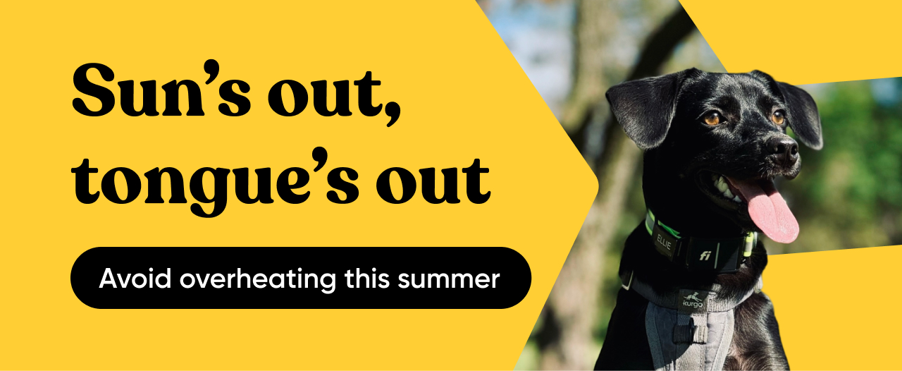 Avoid overheating this summer