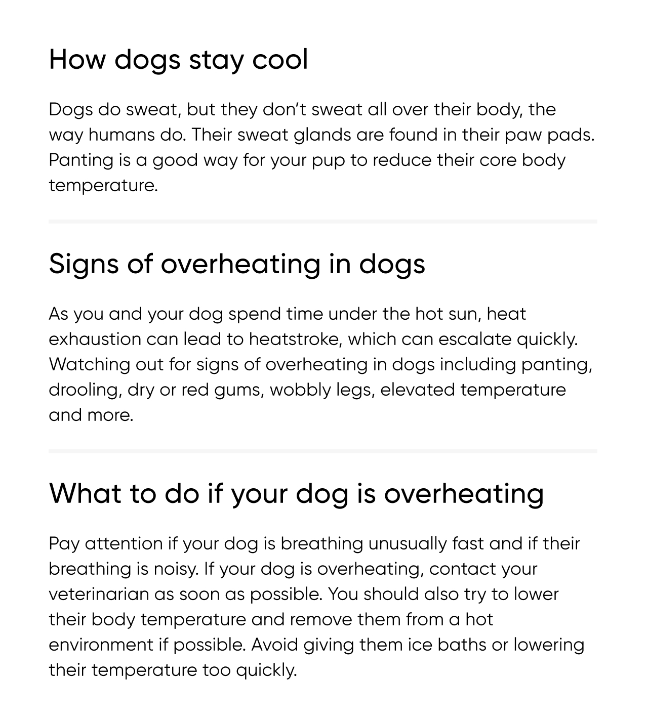 How dogs stay cool