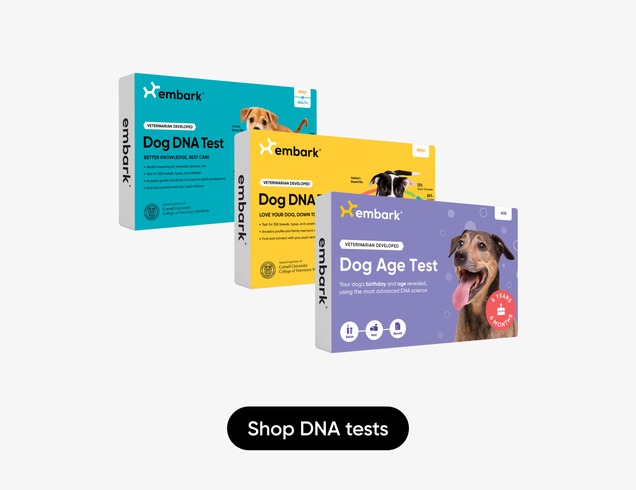 Shop DNA tests