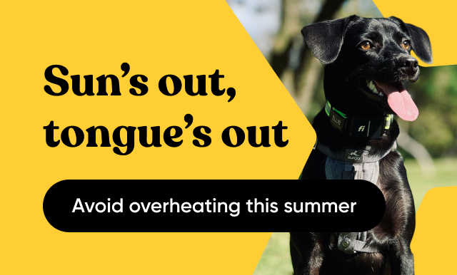 Avoid overheating this summer
