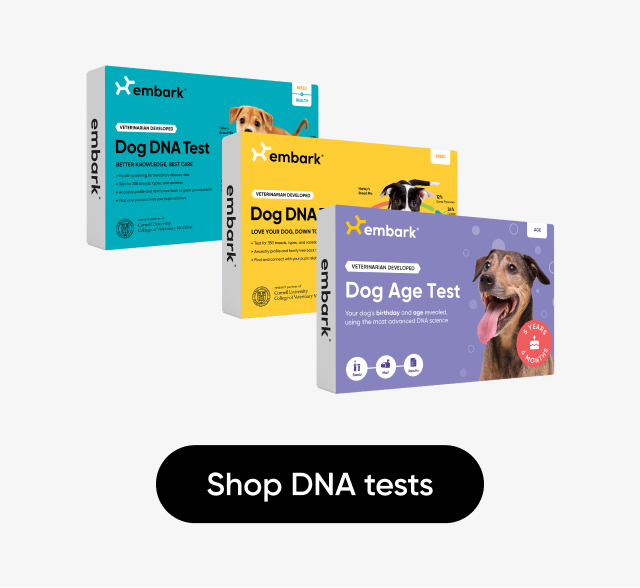 Shop DNA tests