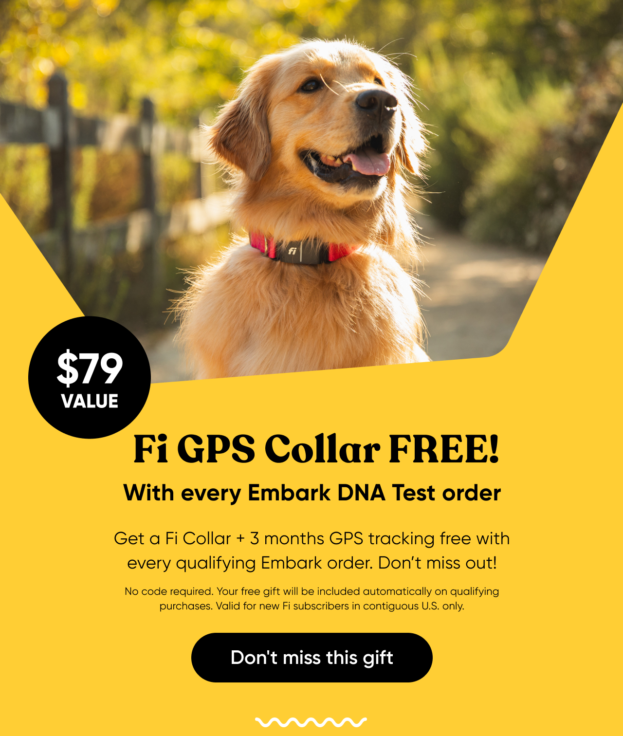 Get a Fi Collar and 3 months of GPS tracking free with every Embark DNA test order