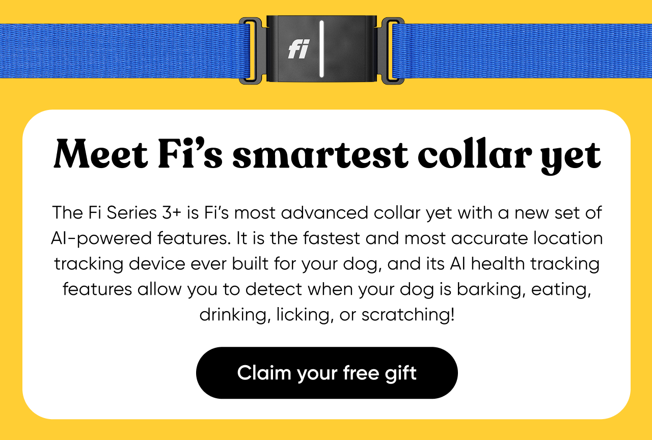 Meet Fi's smartest collar yet