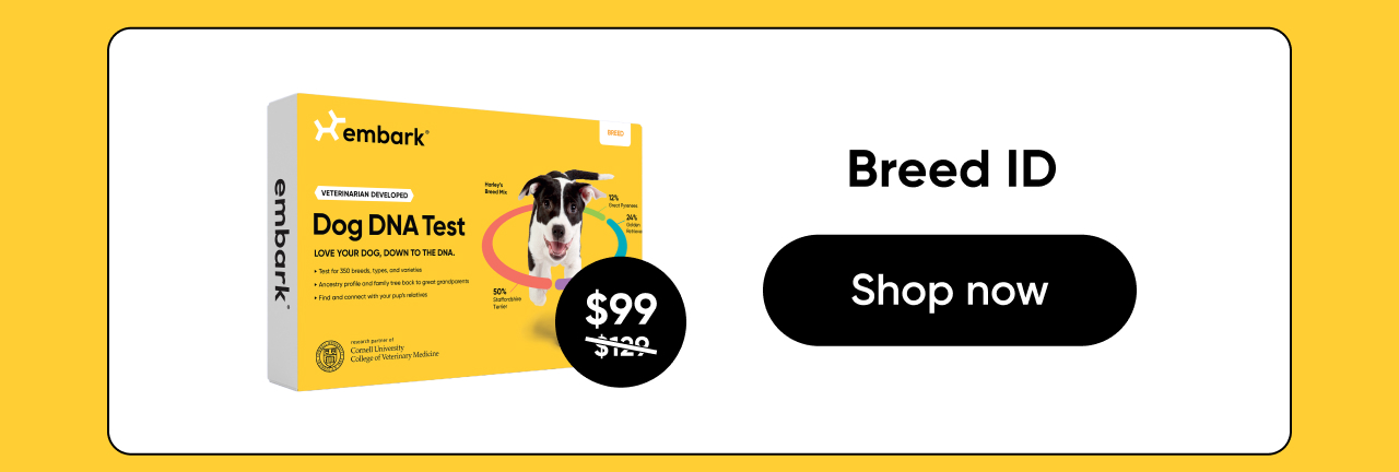 Shop Breed ID Test