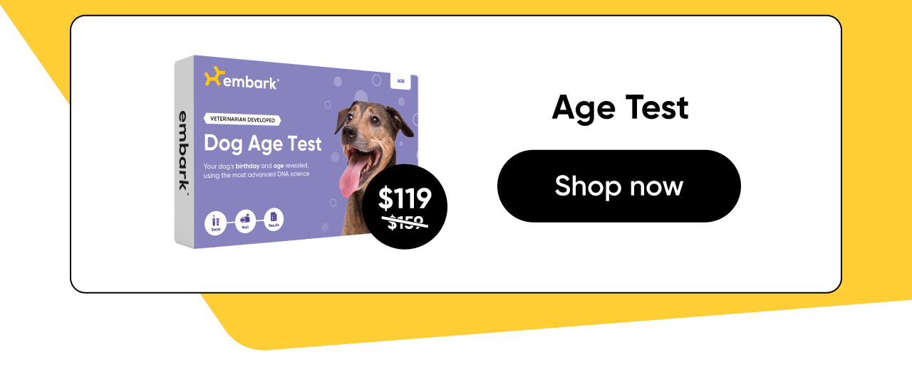 Shop Age Test