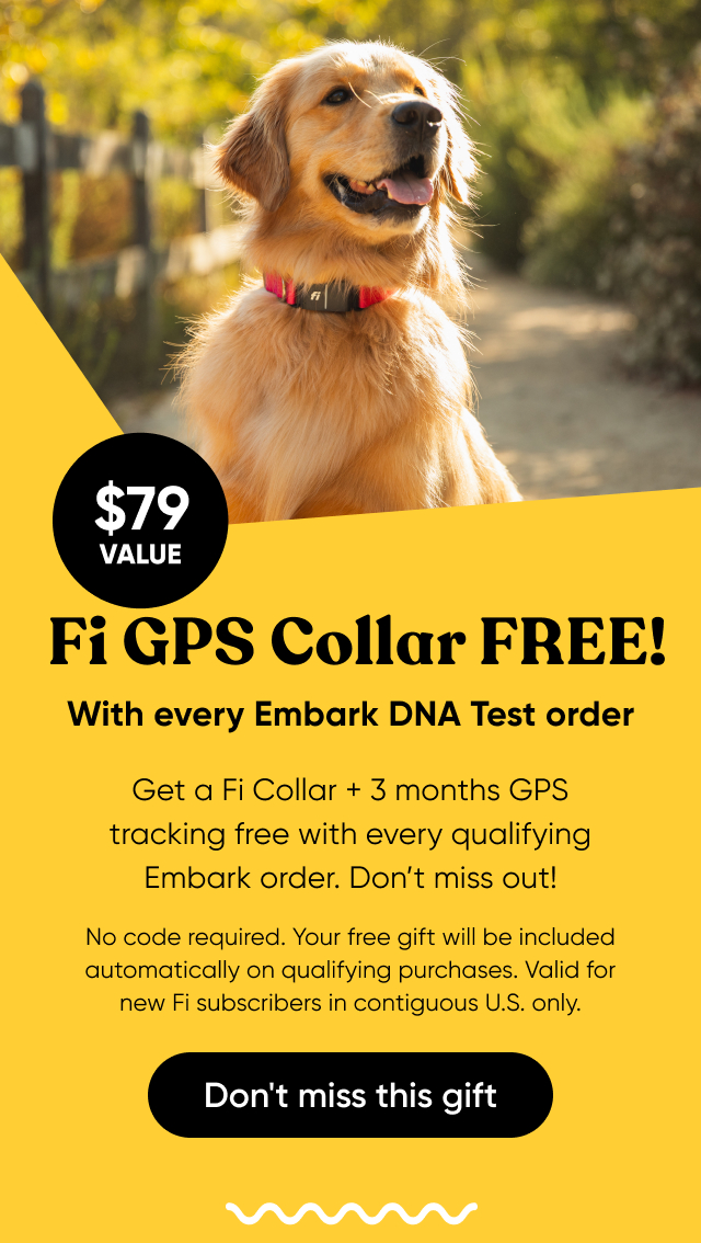 Get a Fi Collar and 3 months of GPS tracking free with every Embark DNA test order