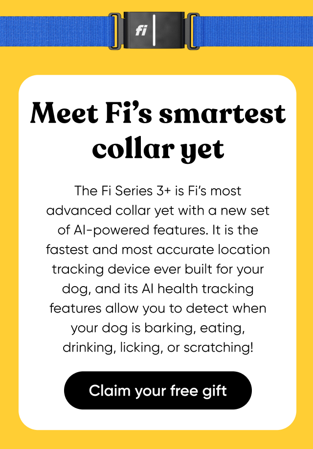 Meet Fi's smartest collar yet